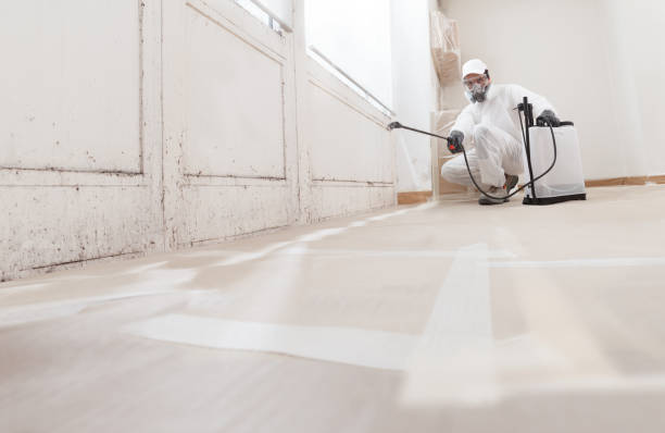 24/7 Emergency Mold Cleanup experts in McKinney, TX