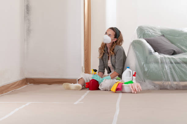 Reliable Mold Cleanup contractor in McKinney, TX by Cheap Mold Removal
